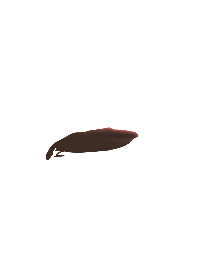 head-eye