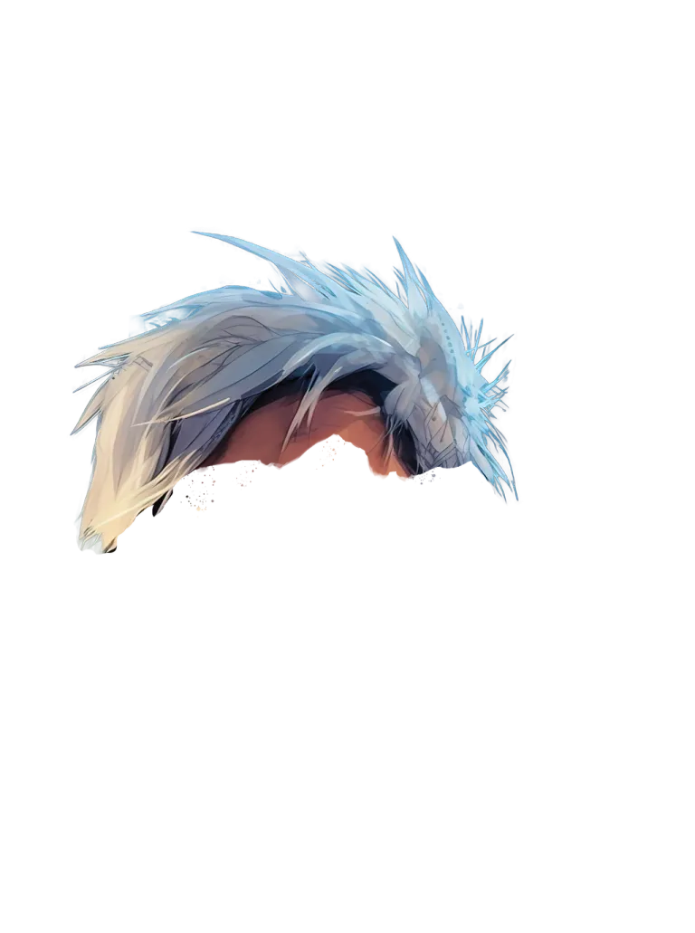 head-top